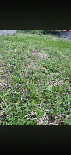 570 m² Land in Eau Coulée — Close to Bus, School & Shops