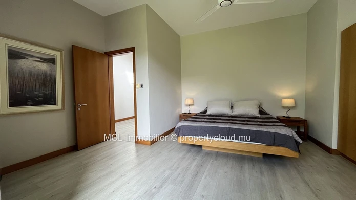Spacious house and garden