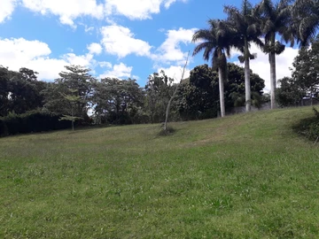 Land