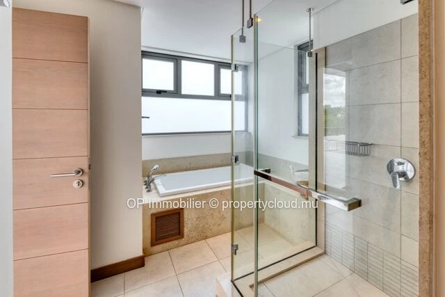 3-Bedroom PDS Penthouse for Sale in Mont Choisy