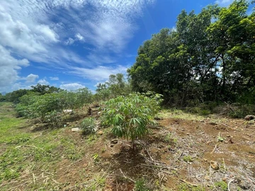Residential Land