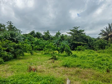 For sale residential land of 2637.78m2 (62.5 perches) at Mahebourg. 