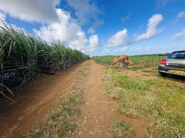 Terrain Agricole