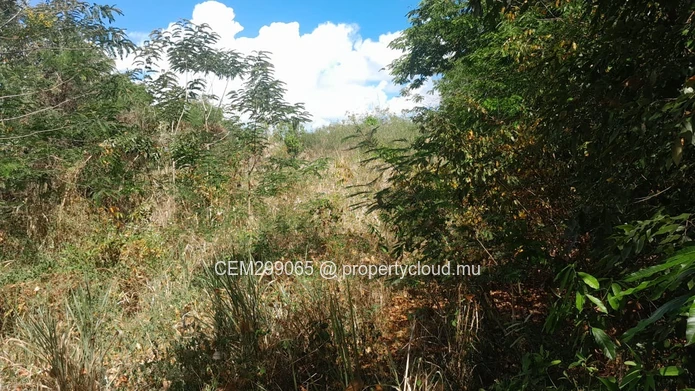 Terrain de 13.32 arpent à vendre à Panchavati - Île d’Ambre