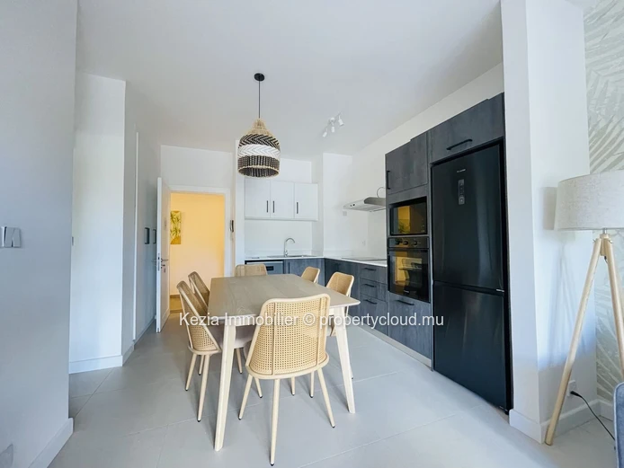 Contemporary Apartment