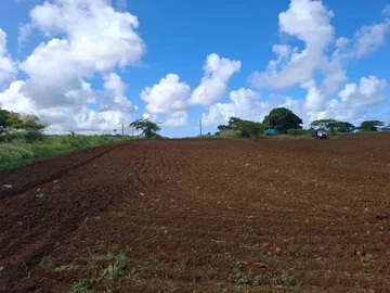 Commercial Land