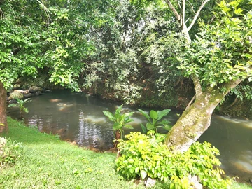 Residential Land