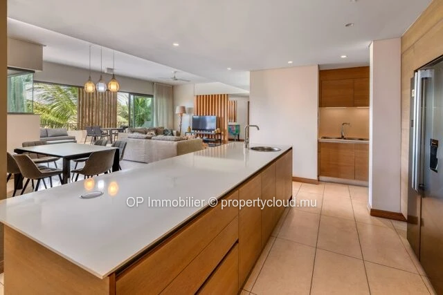 Penthouse PDS 3 chambres avec piscine à vendre à Mon Choisy