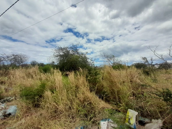 Agricultural Land