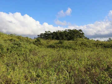 Agricultural Land