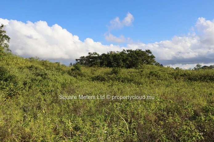 Terrain agricole de 2 111 m² à vendre à Melrose (Mandat exclusif)