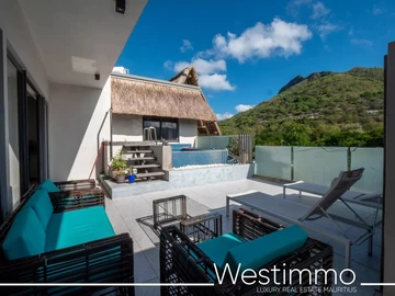 3 Bedroom Penthouse