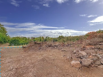 Land