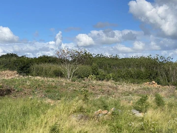 Terrain Agricole