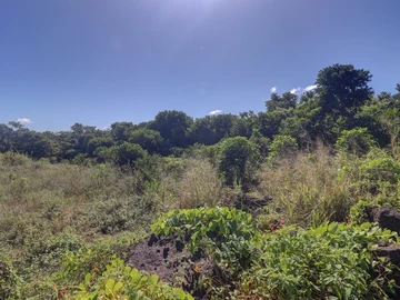 Agricultural Land