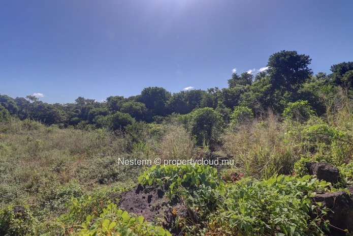 Terrain Agricole de 52 perches