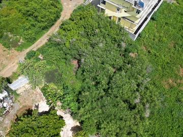 Commercial Land