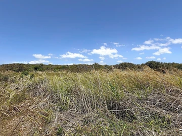 Land