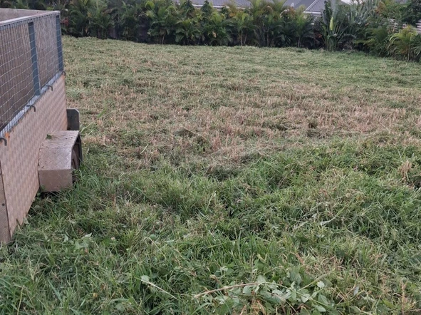 Residential Land