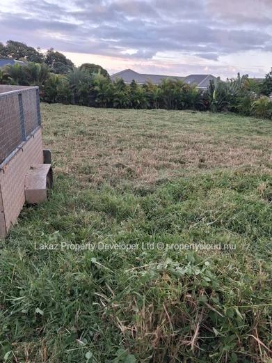 1,237 m² at Mont Piton 