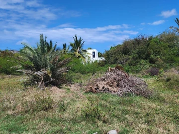 Residential Land