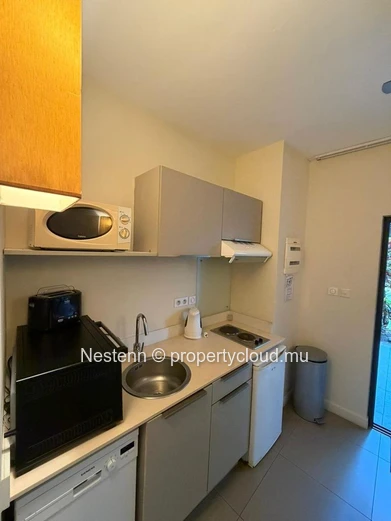 Appartement de style resort contemporain à louer 