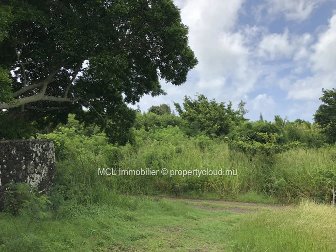 Agricultural land 4,850m2 in St Antoine
