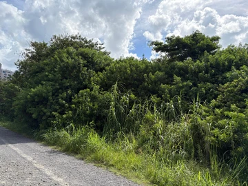 Commercial Land
