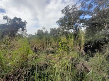 Residential Land