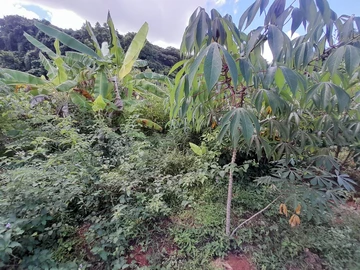 Residential Land