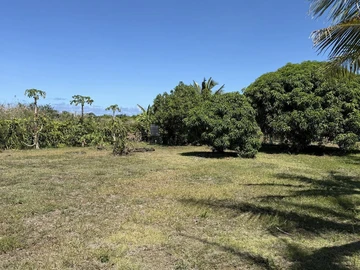 Land