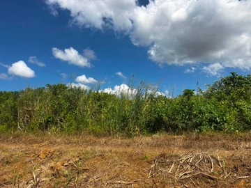 Agricultural Land