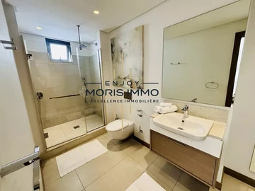 3 Bedroom Penthouse