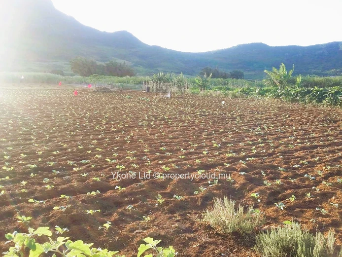 Agricultural Land For Sale At L'Avenir, St Pierre