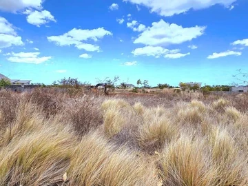 Land
