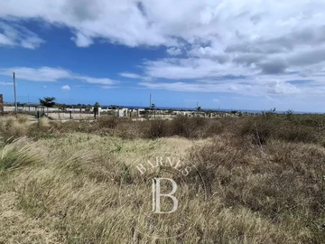 Terrain Commercial