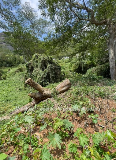 Premium Residential Land For Sale – Near Le Bocage, Mount Ory, Moka.