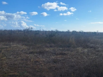 Residential Land