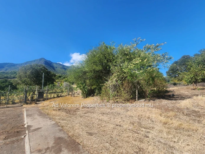 Terrain à vendre dans L'Ouest