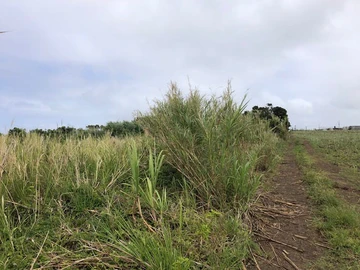 Terrain Agricole