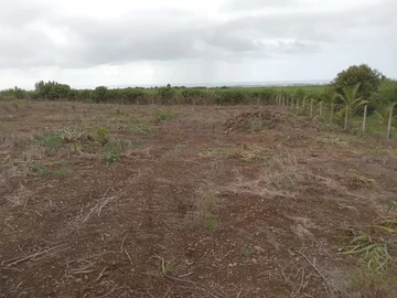 5,573m² Vacant Land For Sale in Mare D'albert