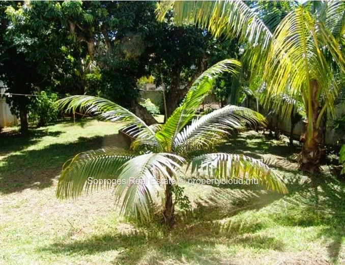 Grande maison/villa a vendre a Rose Hill