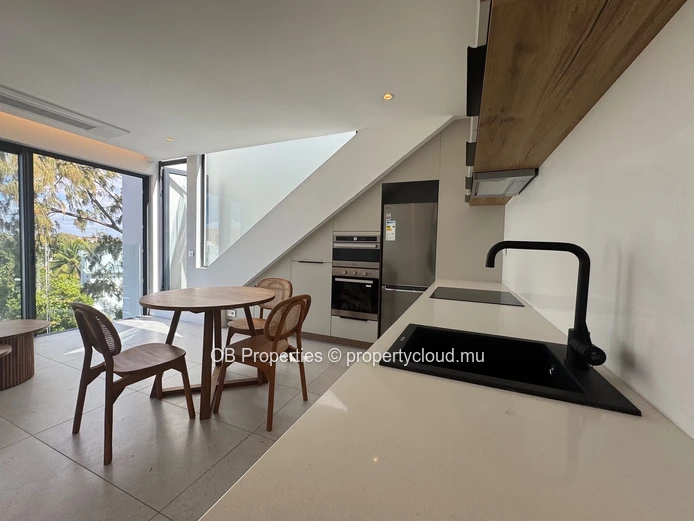 1 Bedroom Penthouse with Private Rooftop
