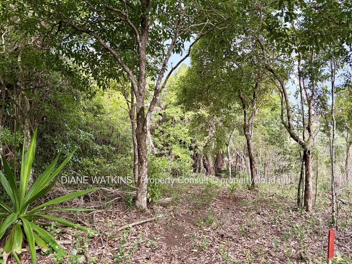 Agricultural Land for Sale in Chamarel | 10,276 m² Bordering Ebony Forest