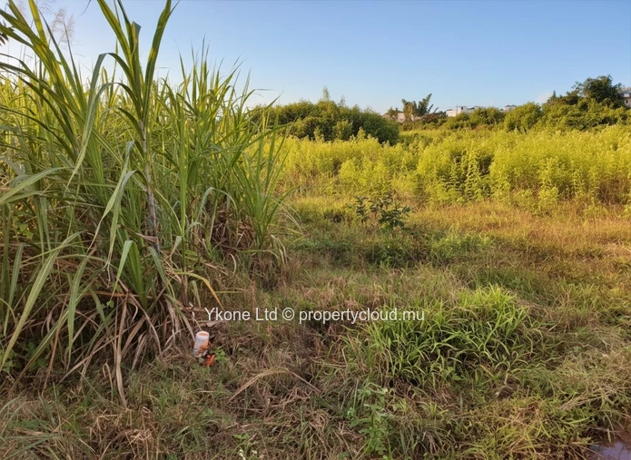 Agricultural Land For Sale In Quartier Militaire
