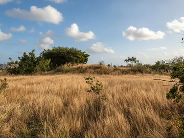 Residential Land