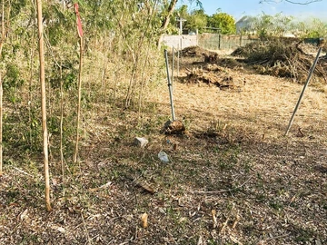 Residential Land