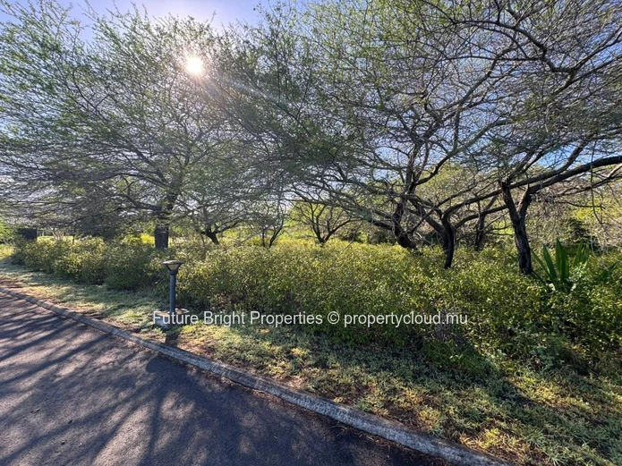 Land for Sale – Tamarin (Belouguet) 
