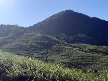 Terrain Agricole