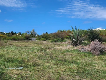 Residential Land